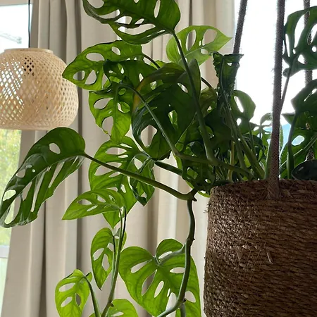 公寓 Cosy Private Boho App Nook In Near Opatija *