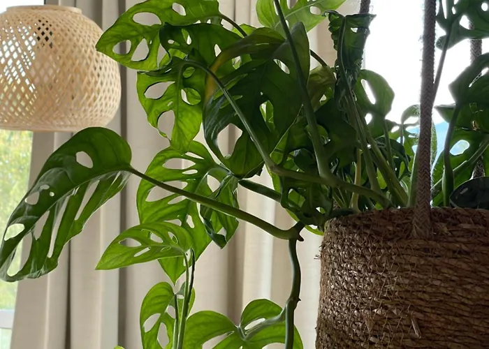 Apartment Cosy Private Boho App Nook In Near Opatija *